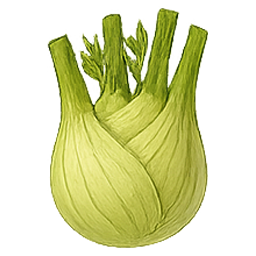 Protocollo Algaspring – Finocchio