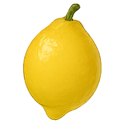 Protocollo Algaspring – Limone