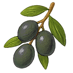 Protocollo Algaspring – Olivo