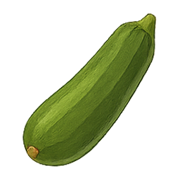 Protocollo Algaspring – Zucchina
