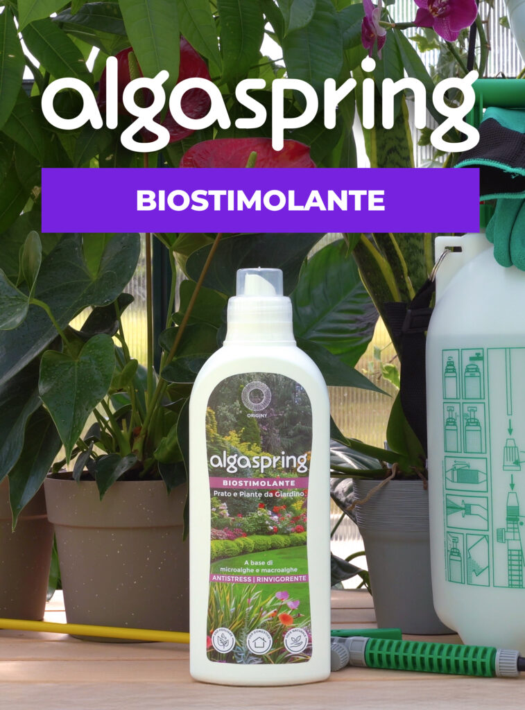 Algaspring Home & Garden Biostimolante 1 L per prato e piante da giardino