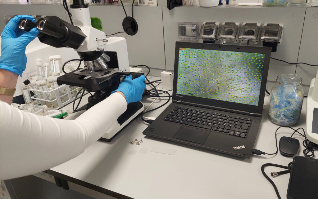 Laboratorio di ricerca Algaspring – analisi biostimolanti naturali