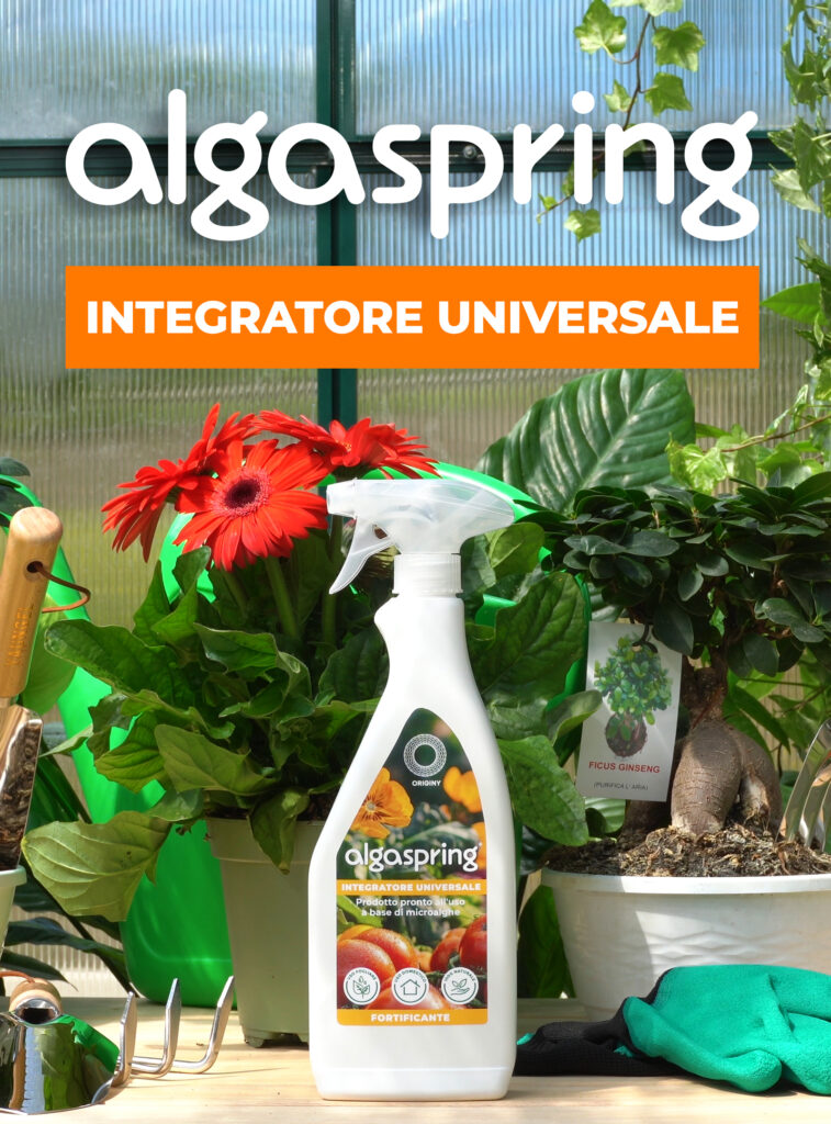 Algaspring Integratore Universale spray per piante ornamentali e orticole in vaso